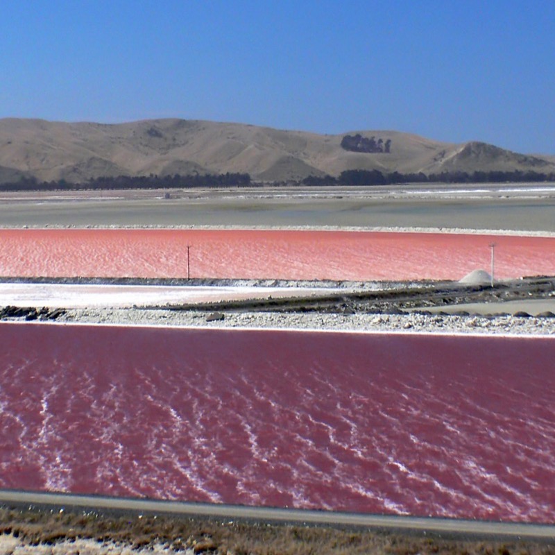 Salt flats, Aveiro